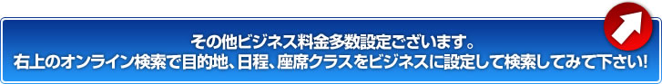 その他のビジネスクラス検索