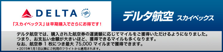 デルタ航空 スカイペックス
