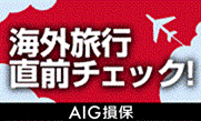 AIG損保