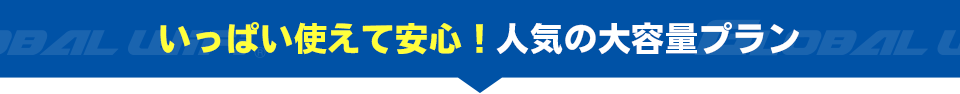 いっぱい使えて安心！人気の大容量プラン