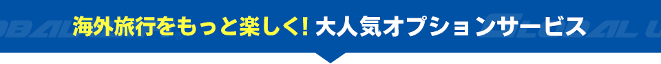 海外旅行をもっと楽しく！大人気オプションサービス