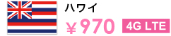 ハワイ ￥970 4G LTE